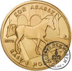 3 bory (mosiądz) - Koń arabski